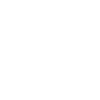 support v2